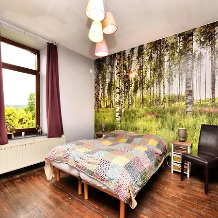 Forest View Lierneux